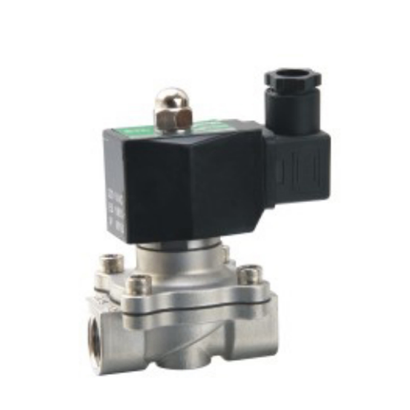 2S Serisi 2 Pozisyonlu 2 Yollu Paslanmaz Çelik Solenoid Valf
