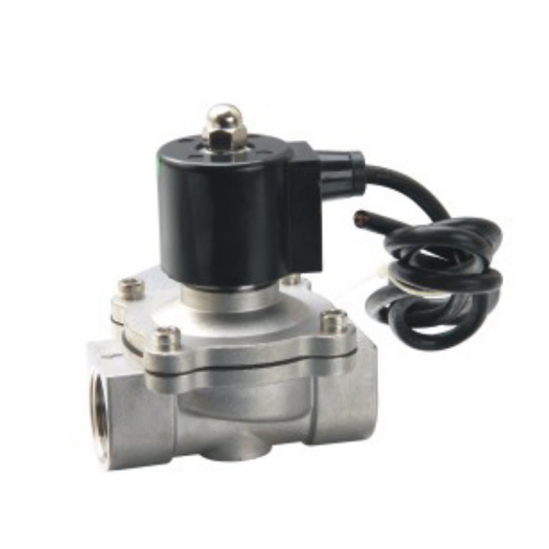 2S Serisi 2 Pozisyonlu 2 Yollu Paslanmaz Çelik Solenoid Valf