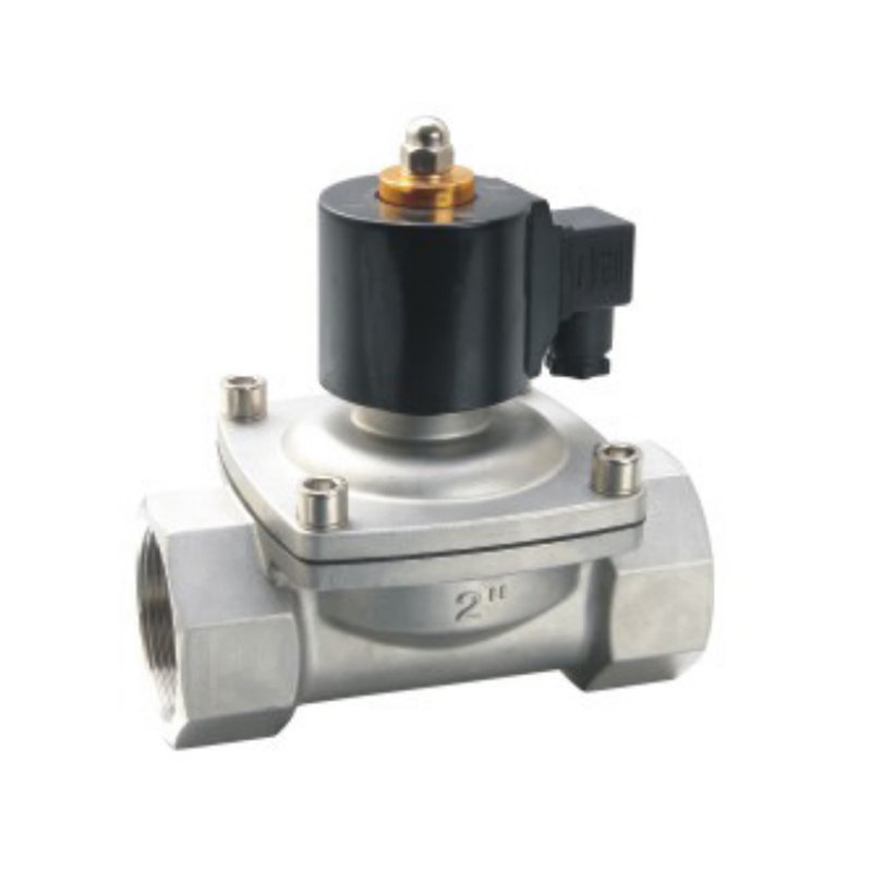 2S Serisi 2 Pozisyonlu 2 Yollu Paslanmaz Çelik Solenoid Valf