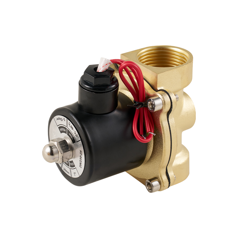 2W Serisi 2 Pozisyonlu 2 Yollu Bakır Solenoid Valf