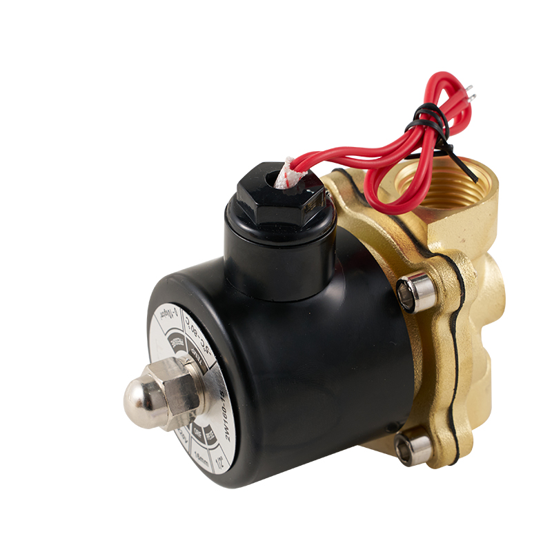 2W Serisi 2 Pozisyonlu 2 Yollu Bakır Solenoid Valf