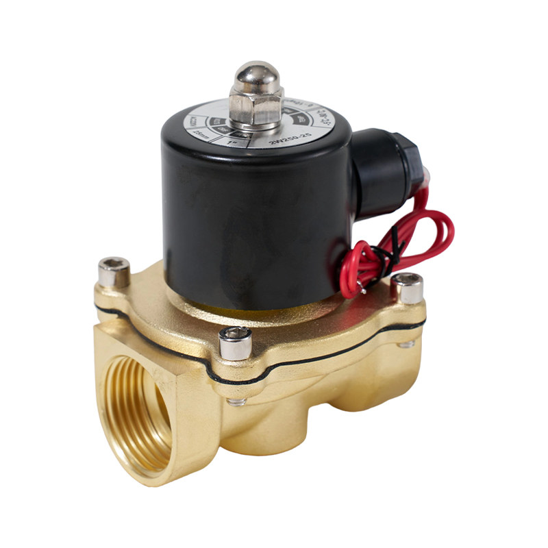 2W Serisi 2 Pozisyonlu 2 Yollu Bakır Solenoid Valf